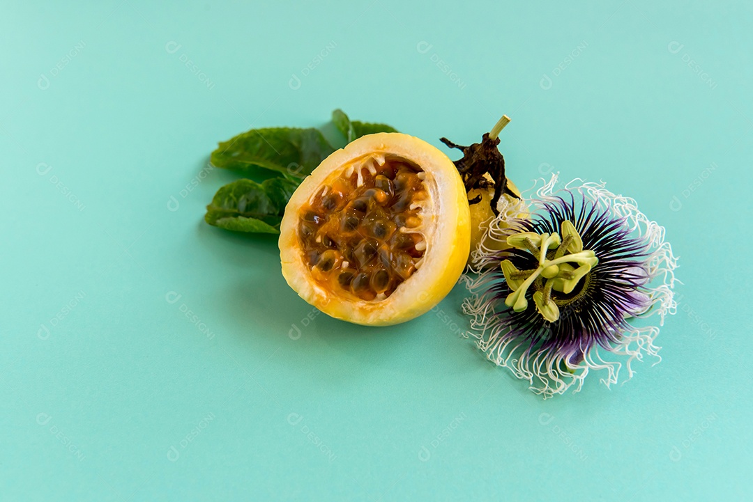 Maracujá amarelo e flor de maracujá sobre fundo verde