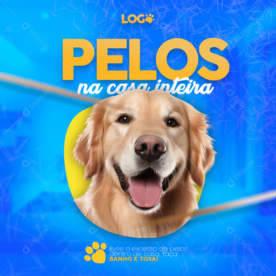 Social Media Pelos Na Casa Inteira PSD Editavel