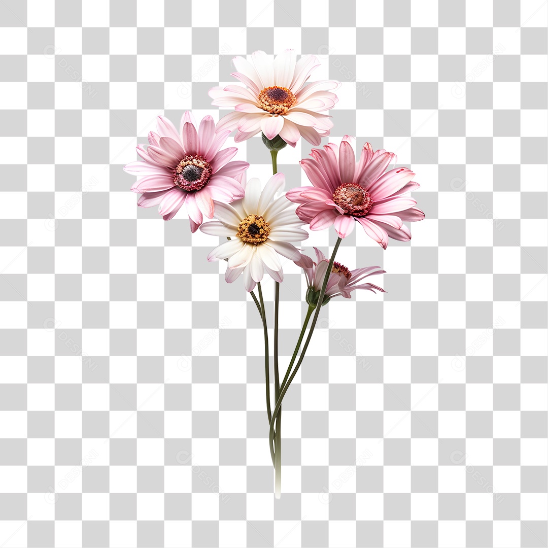 Lindas flores PNG Transparente