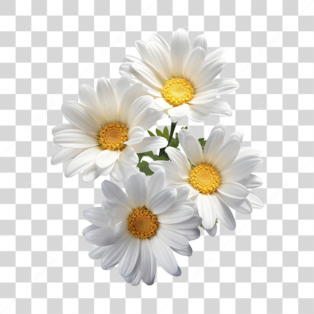 Lindas flores PNG Transparente