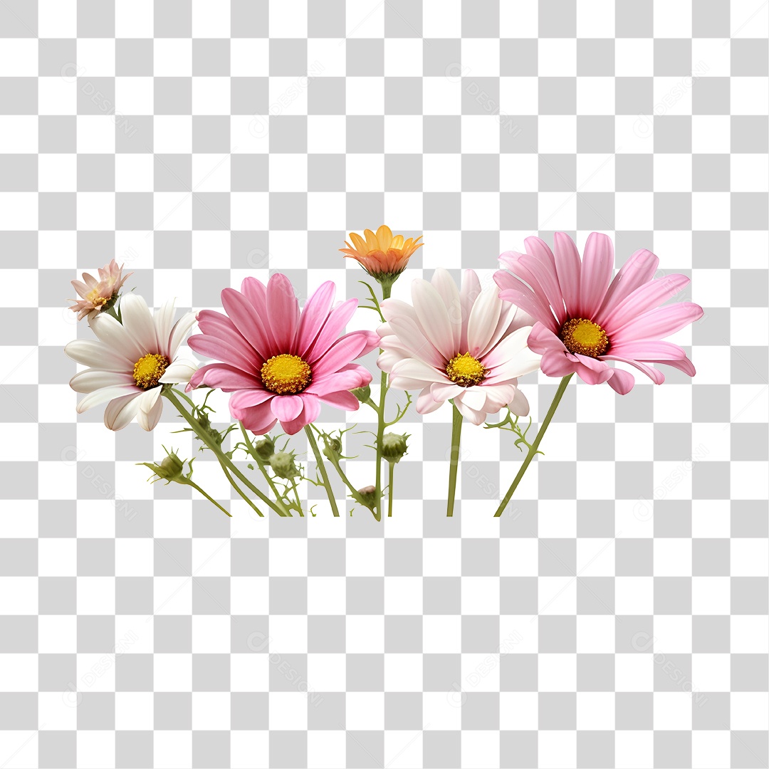 Lindas flores PNG Transparente