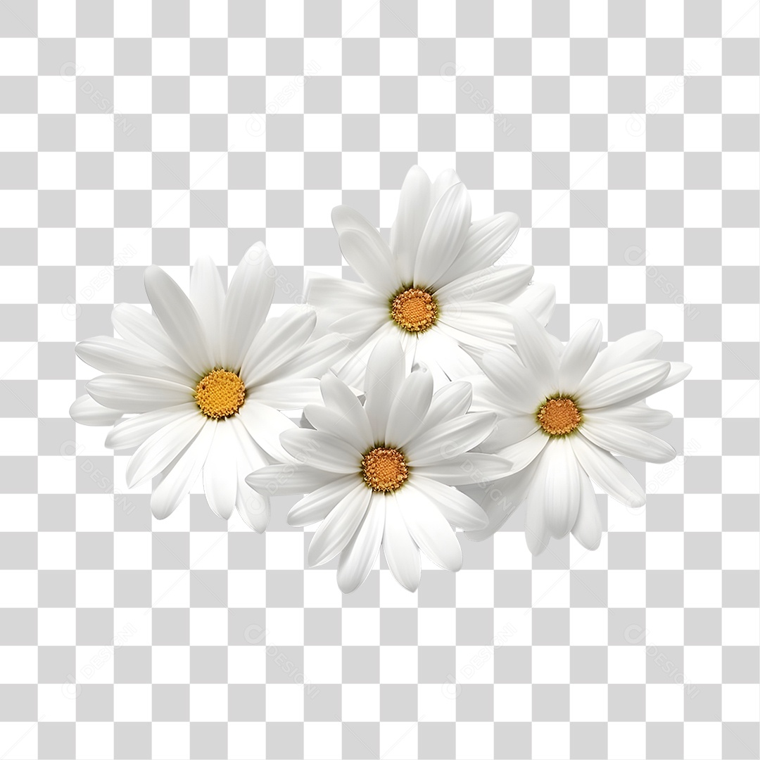 Lindas flores PNG Transparente