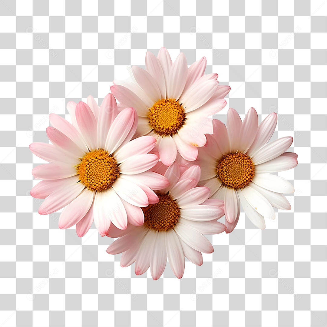 Lindas flores PNG Transparente