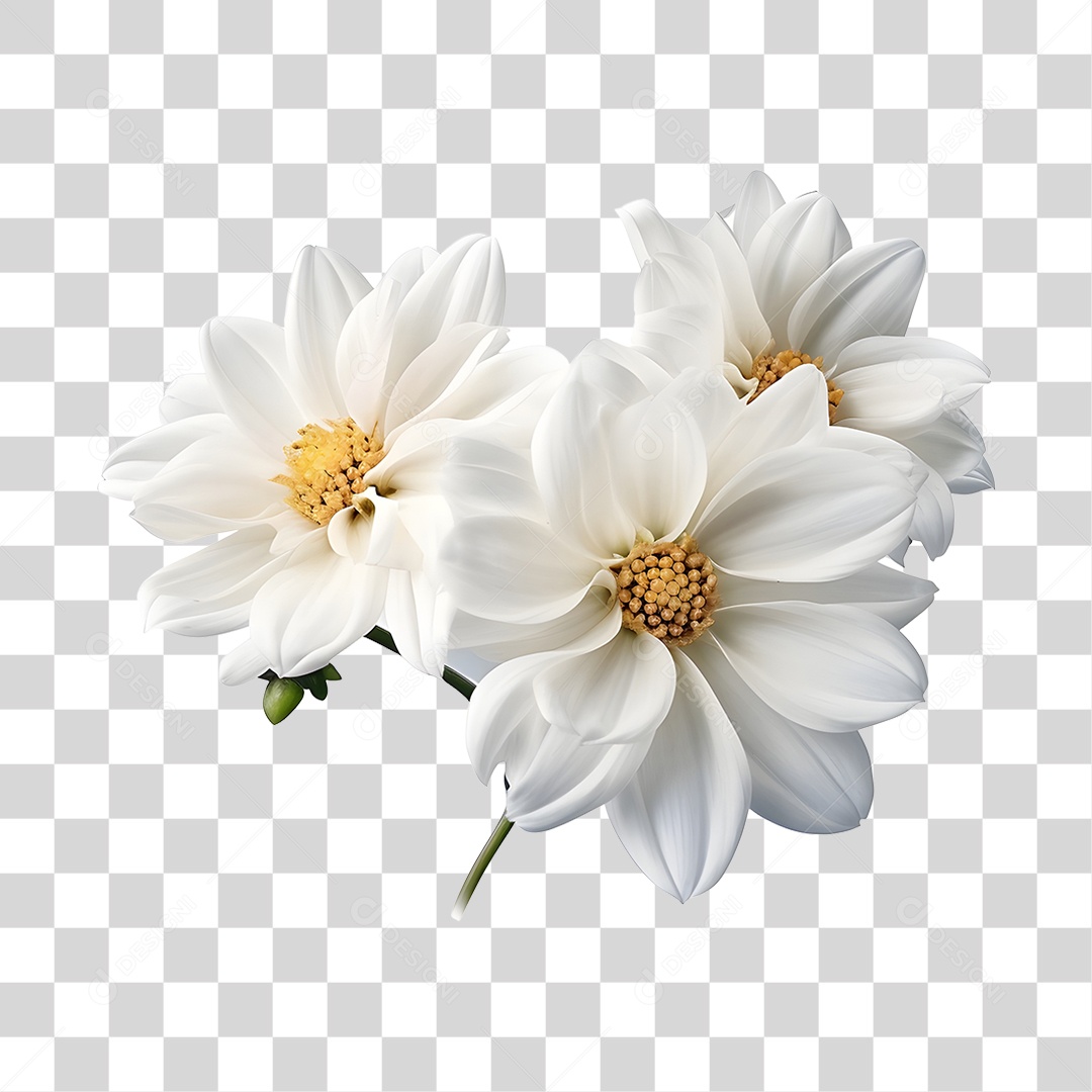 Lindas flores PNG Transparente