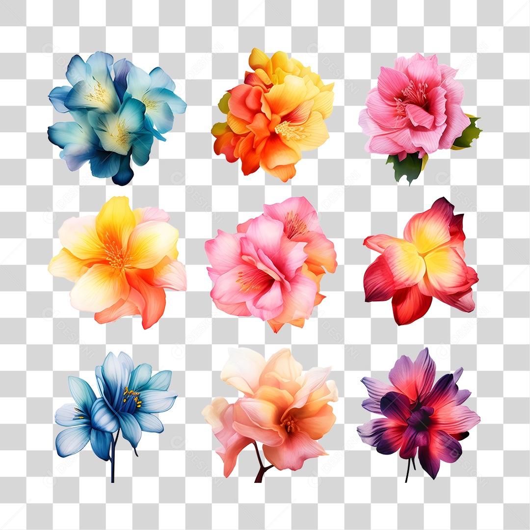Lindas flores PNG Transparente