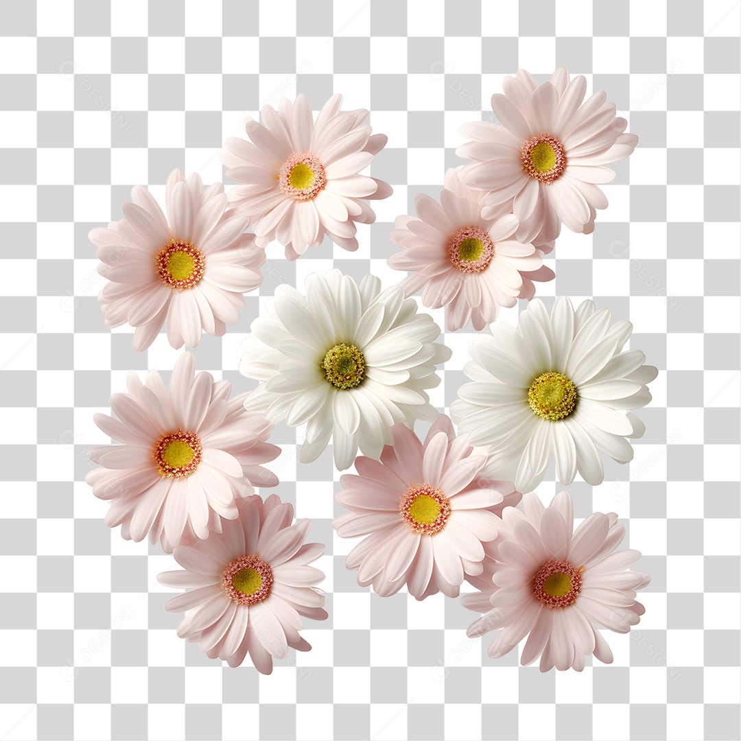 Lindas flores PNG Transparente