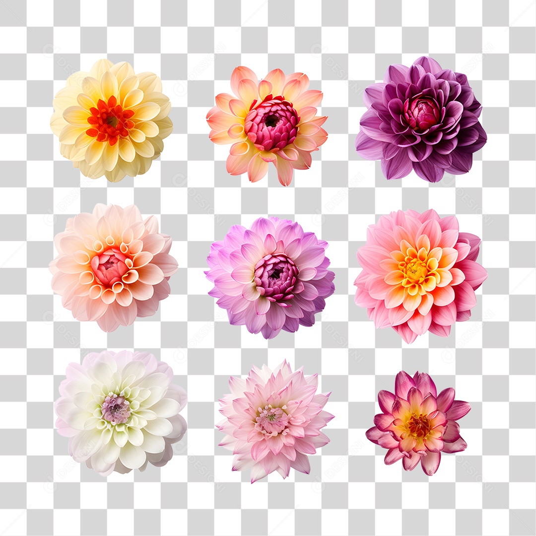 Lindas flores PNG Transparente
