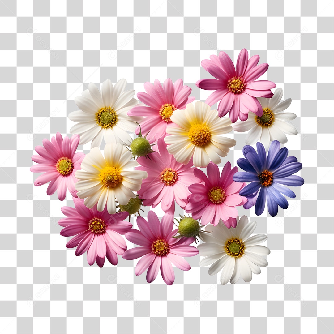 Lindas flores PNG Transparente