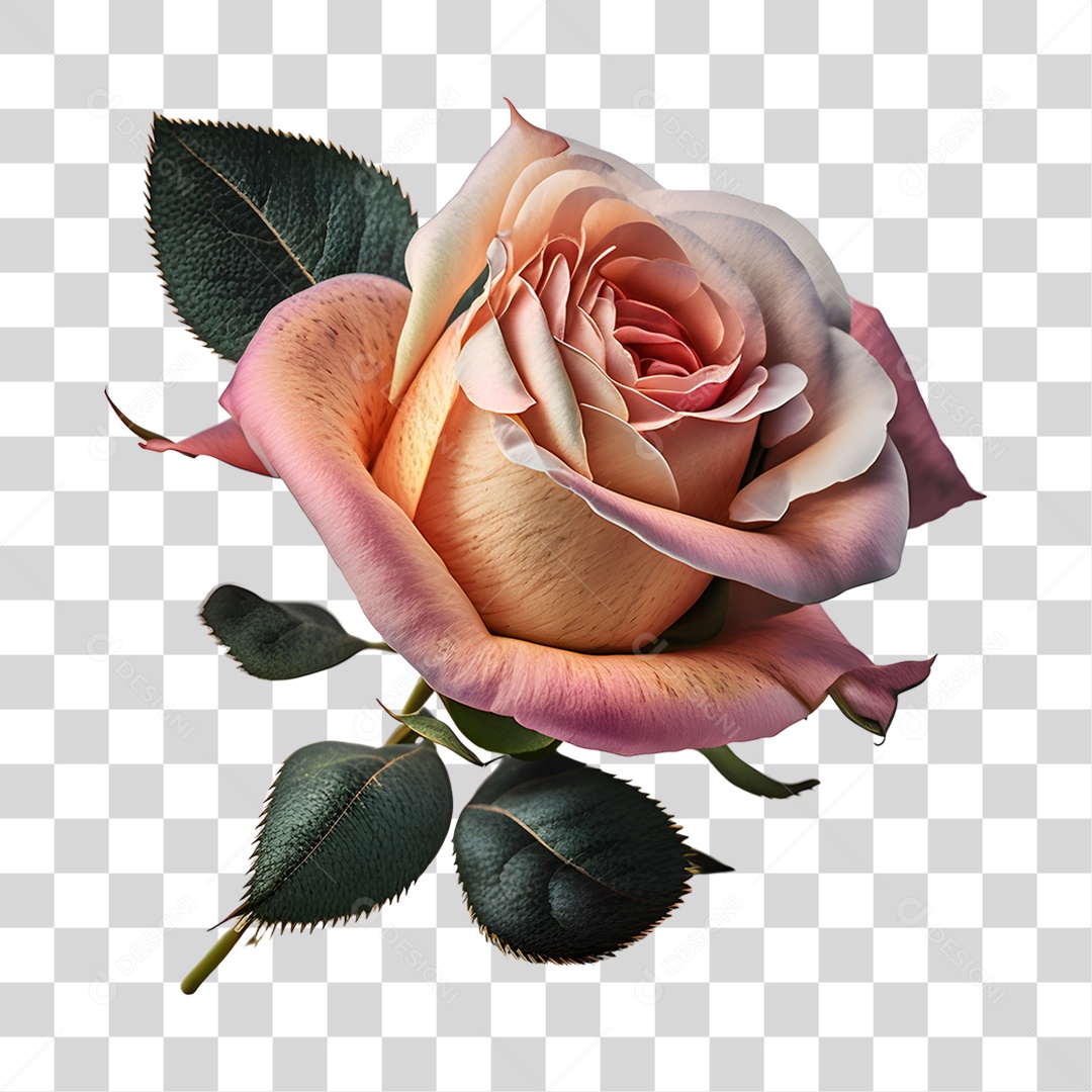 Lindas flores PNG Transparente