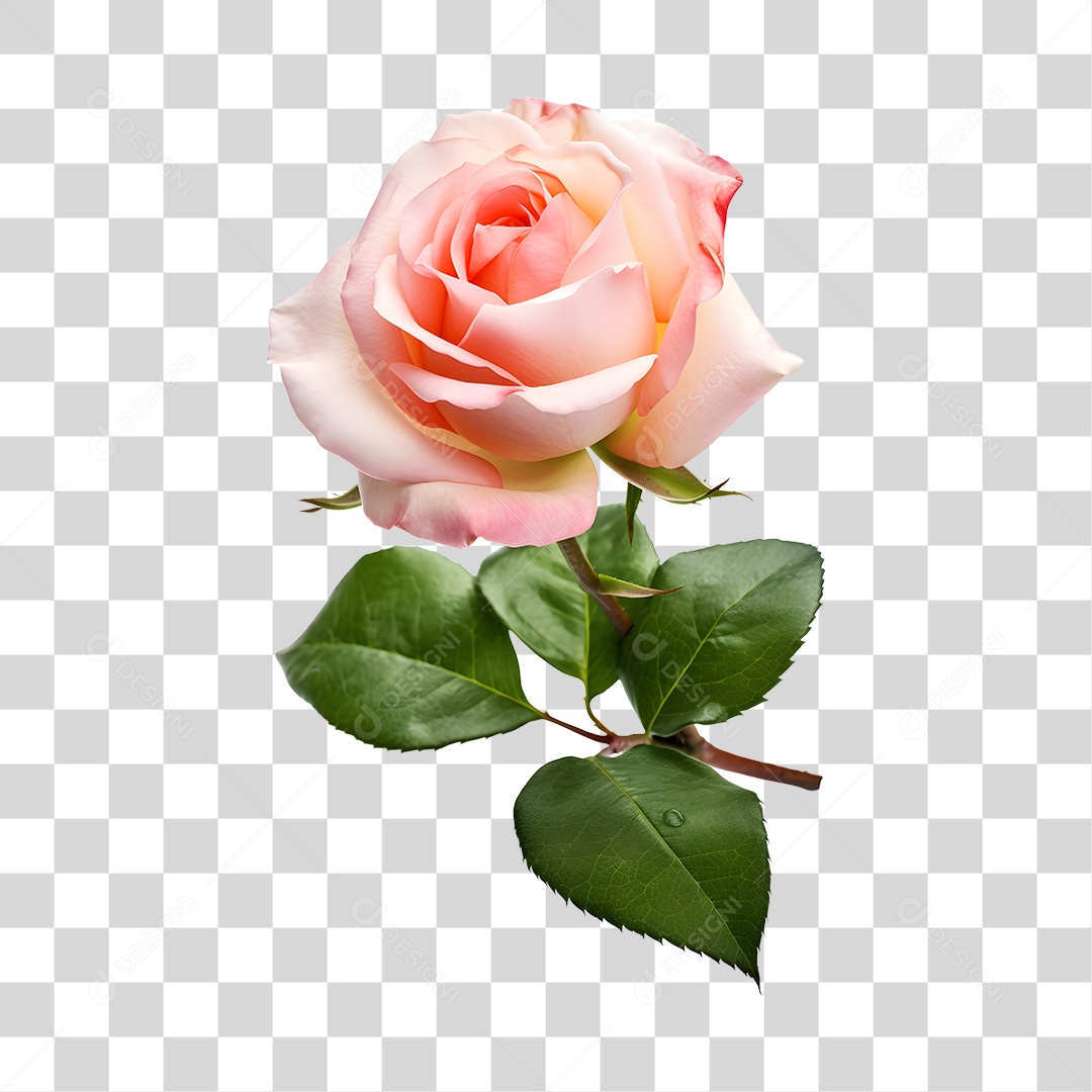 Lindas flores PNG Transparente