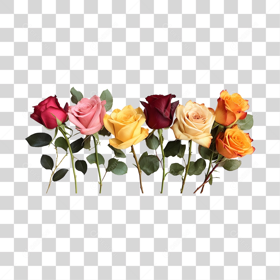 Lindas flores PNG Transparente