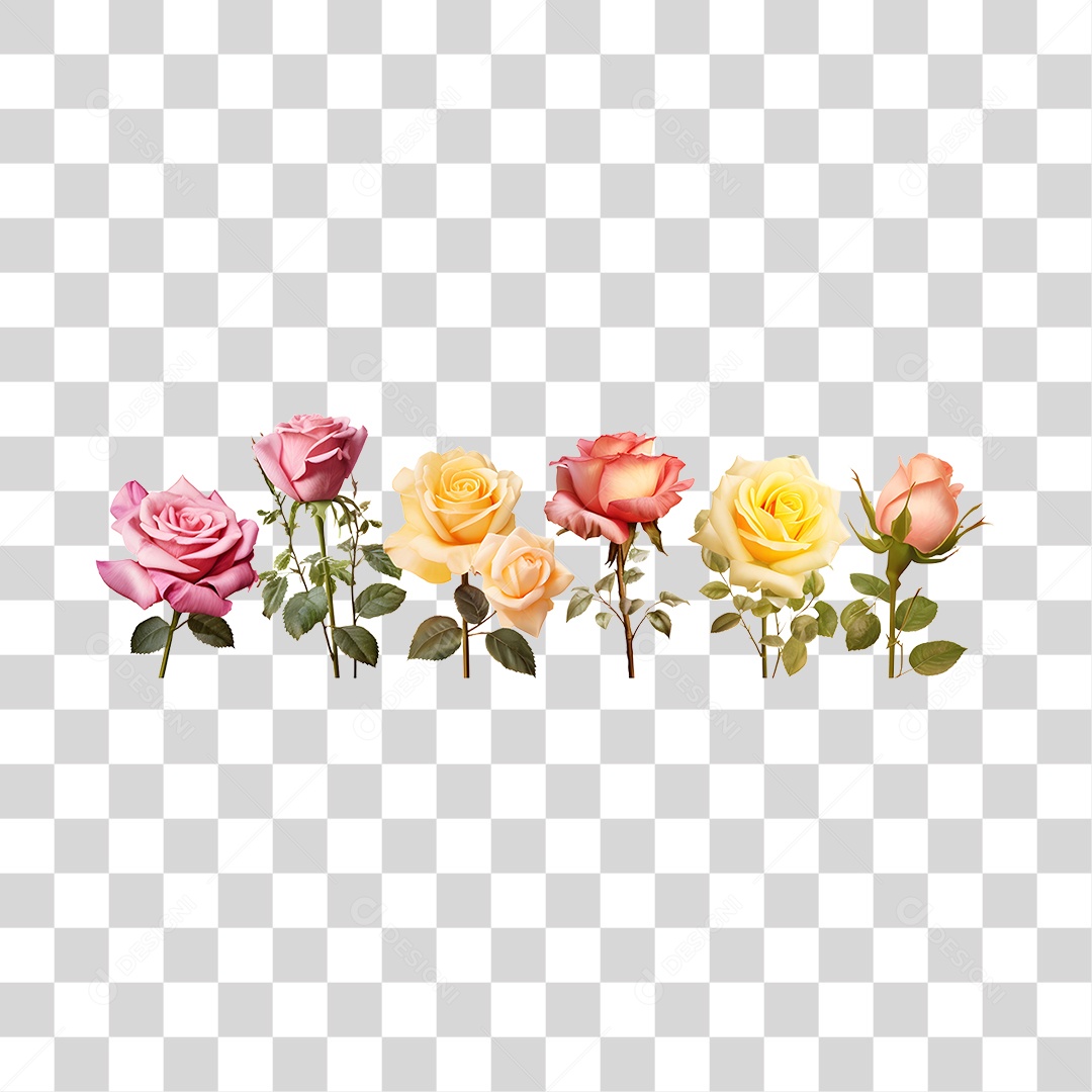 Lindas flores PNG Transparente