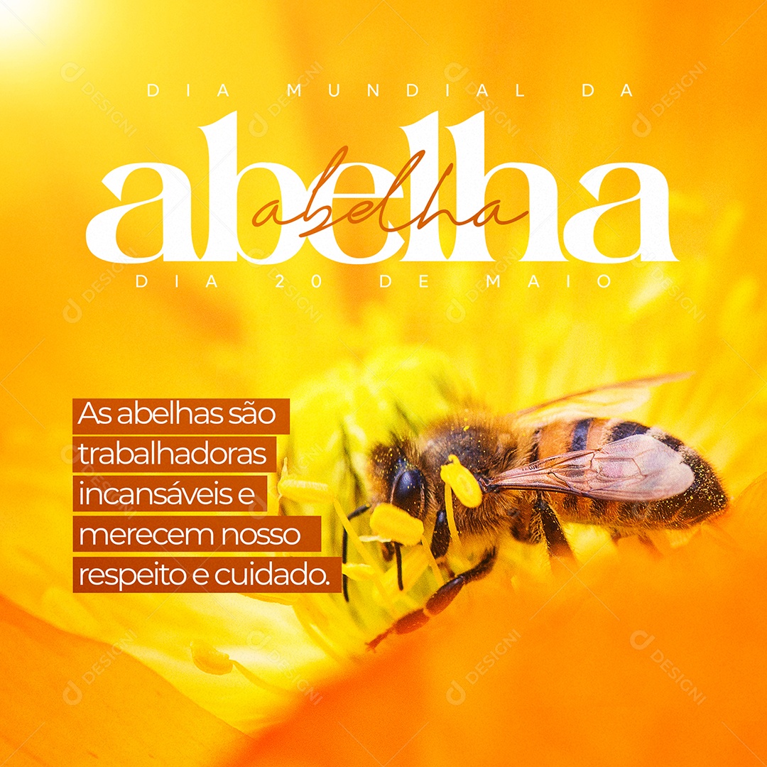 Social Media Dia Mundial Da Abelha 20 De Maio PSD Editável