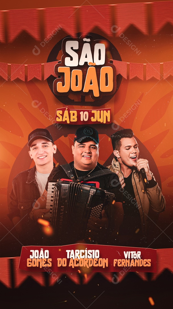 Story Flyer São João Social Media PSD Editável