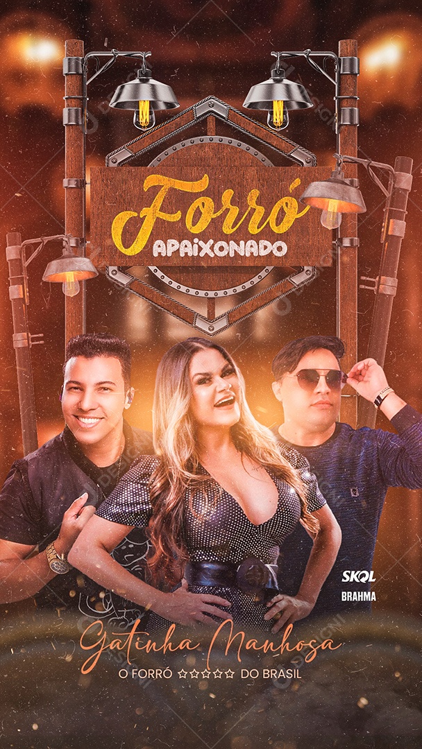 Flyer Forró Apaixonado Gatinha Manhosa Story Social Media PSD Editável