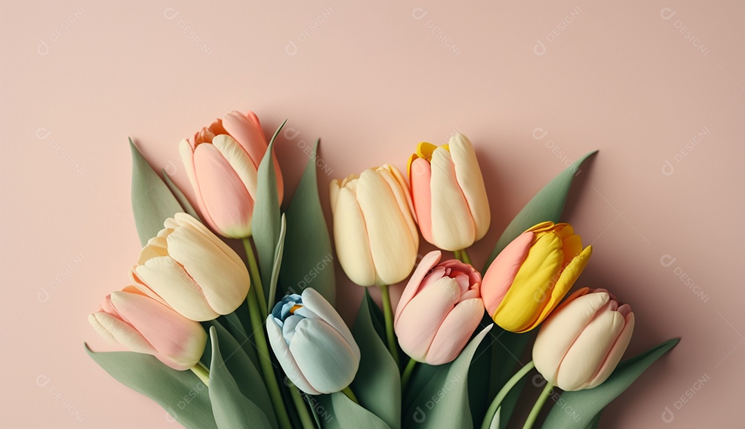 Tulipas coloridas em fundo pastel suave