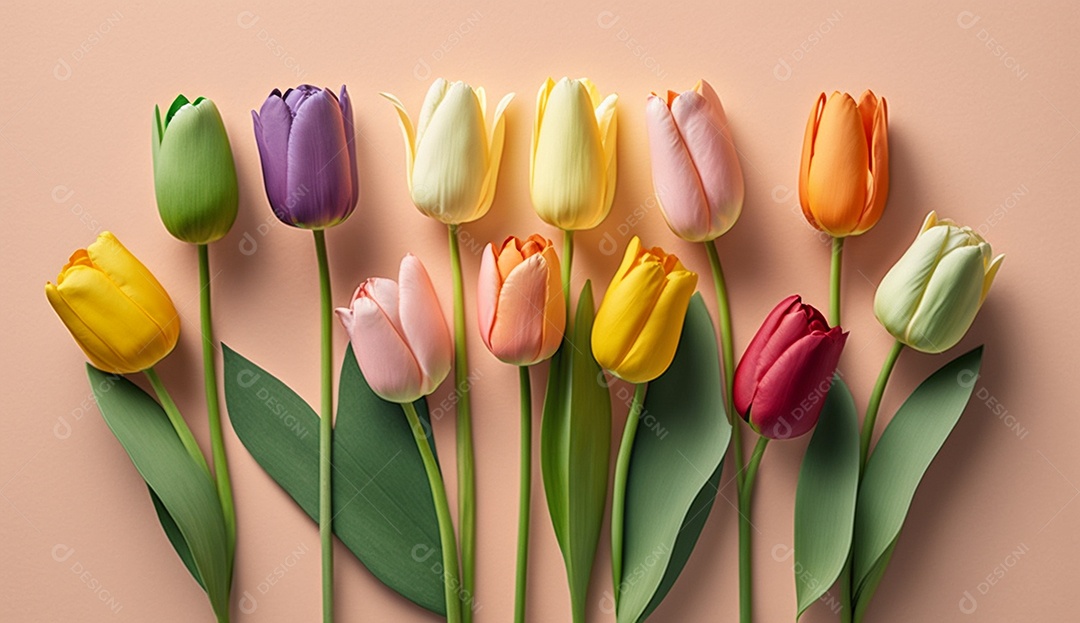 Tulipas coloridas em fundo pastel suave