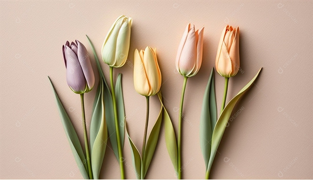 Tulipas coloridas em fundo pastel suave