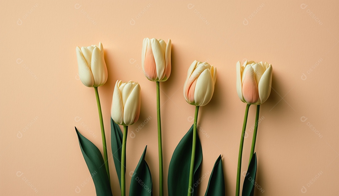Tulipas coloridas em fundo pastel suave