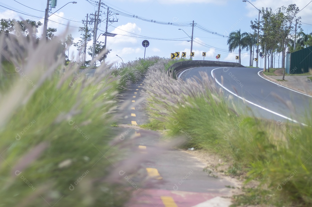 Ciclovia cercada por vegetação em um dia ensolarado, conceito de ciclismo, natureza urbana.
