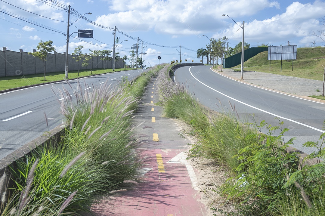 Ciclovia cercada por vegetação em um dia ensolarado, conceito de ciclismo, natureza urbana.