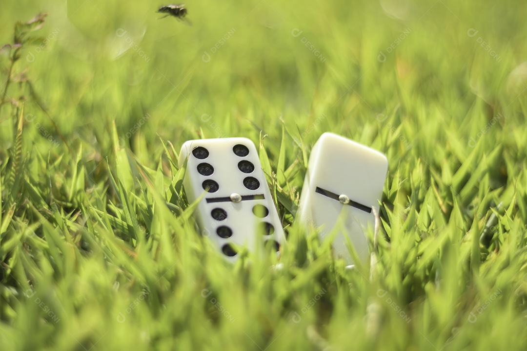 Peças de dominó com grama ao fundo em um dia ensolarado, conceito abstrato.