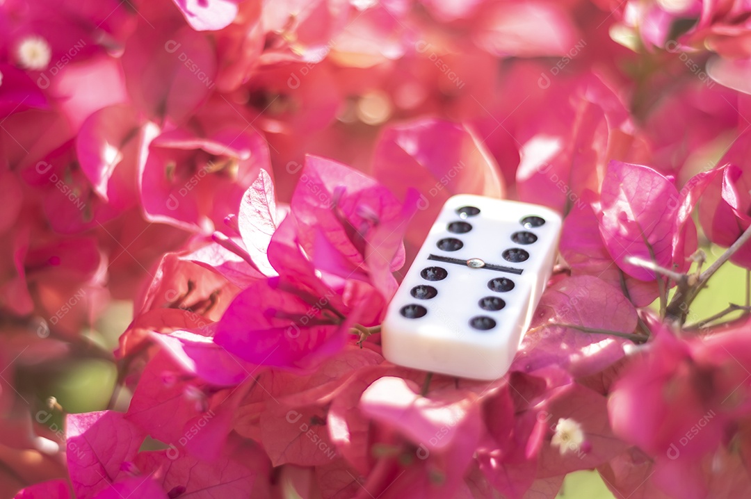 Peça de dominó com flores ao fundo em um dia ensolarado, conceito abstrato.