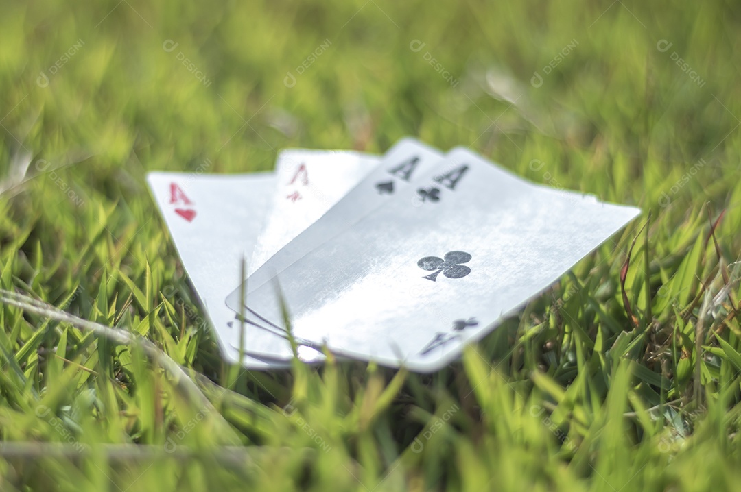 Ás de paus, ouro, taças, paus e copas, com grama ao fundo, conceito abstrato.