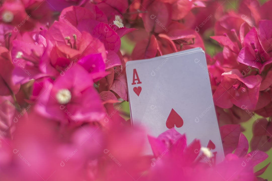 Ás de paus, ouros, taças, paus e copas, com flores ao fundo, conceito abstrato.