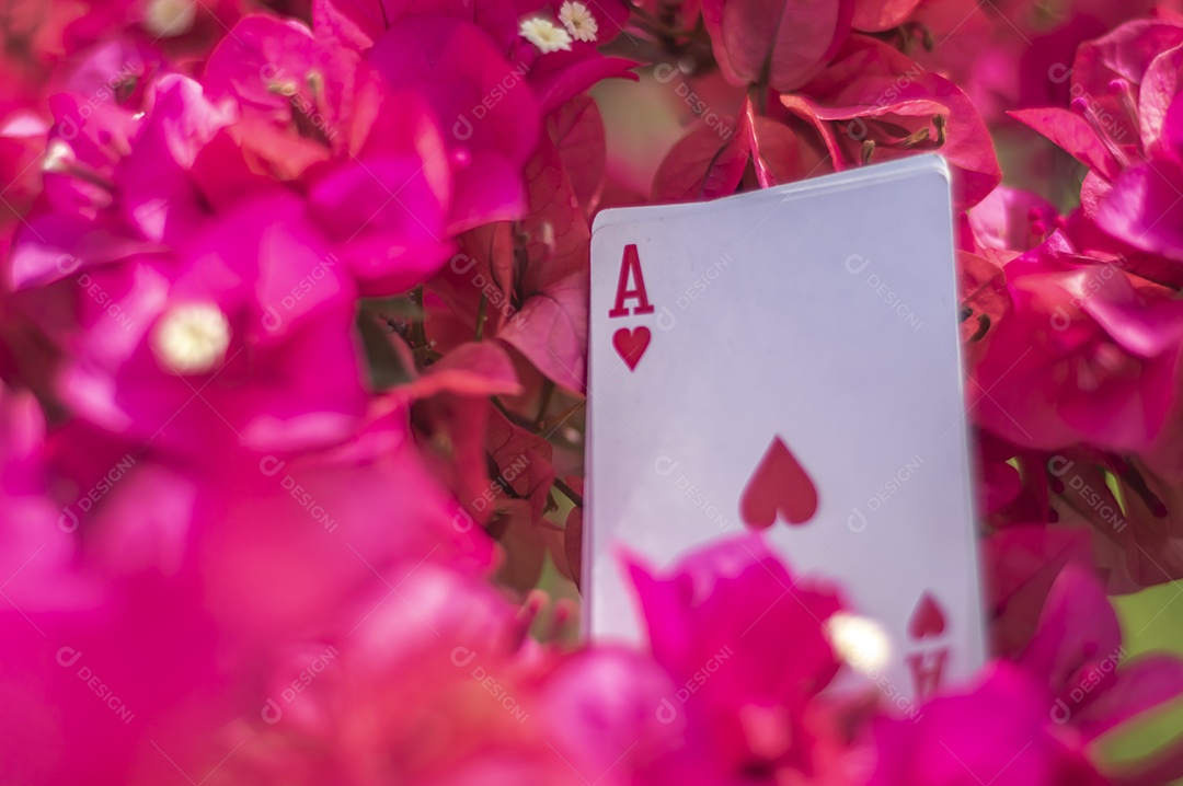 Ás de paus, ouros, taças, paus e copas, com flores ao fundo, conceito abstrato.
