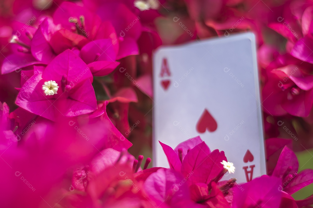 Ás de paus, ouros, taças, paus e copas, com flores ao fundo, conceito abstrato.