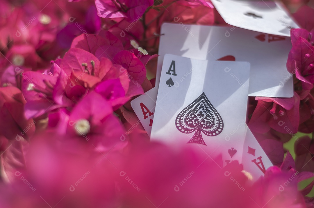 Ás de paus, ouro, copos, paus e corações, com flores ao fundo, conceito abstrato.