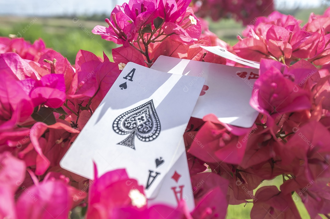 Ás de paus, ouro, copos, paus e corações, com flores ao fundo, conceito abstrato.