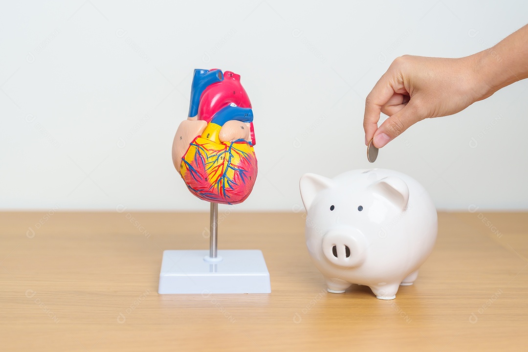 Modelo de coração com cofrinho para doenças cardiovasculares, aterosclerose, coração hipertenso, coração valvular