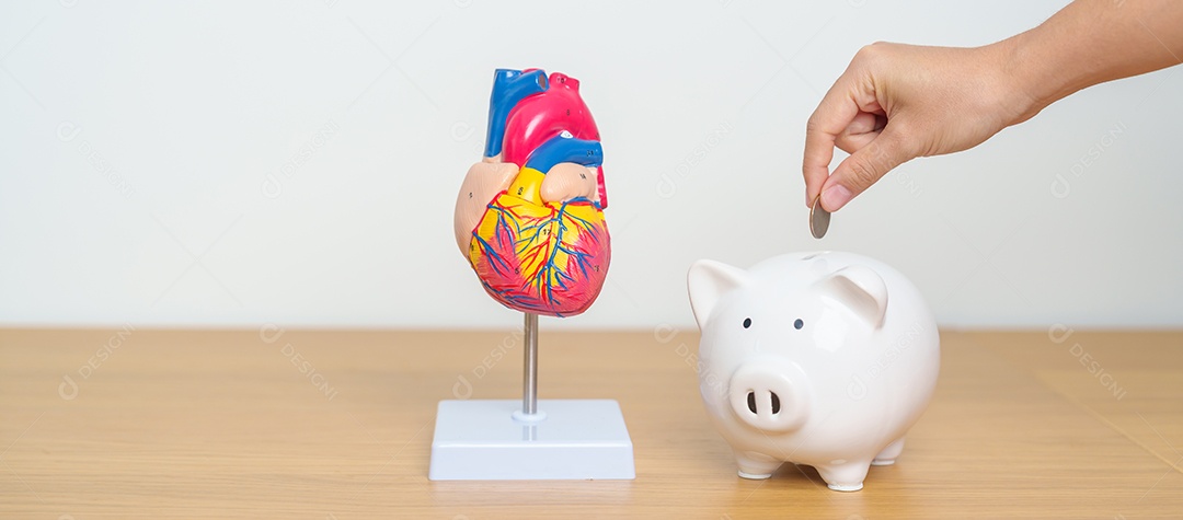 Modelo de coração com cofrinho para doenças cardiovasculares, aterosclerose, coração hipertenso, coração valvular