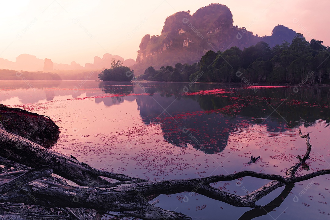 Paisagem Natureza Vista do Lago Nong Thale em Krabi Tailândia