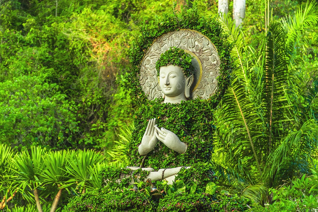 Paisagem do belo nascer do sol no Parque Khao Na Nai Luang Dharma em Surat Thani Tailândia