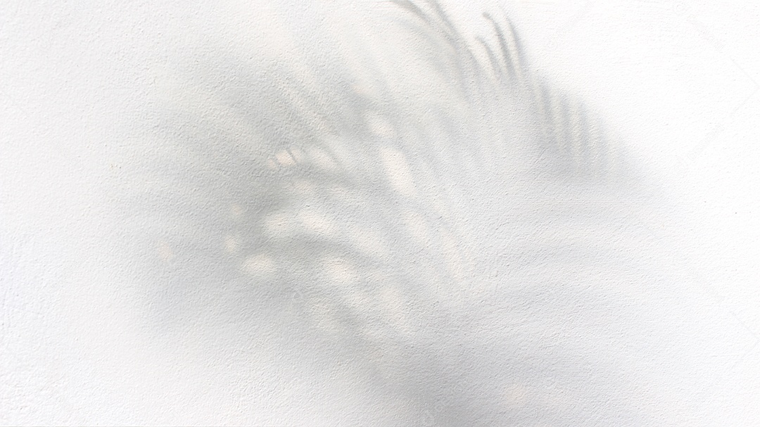 sombra de palmeira deixa árvore em fundo branco