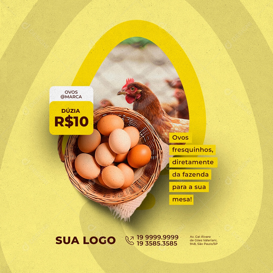 Dúzia 10,00 Ovos Fresquinhos Diretamente Da Fazenda Social Media PSD Editável