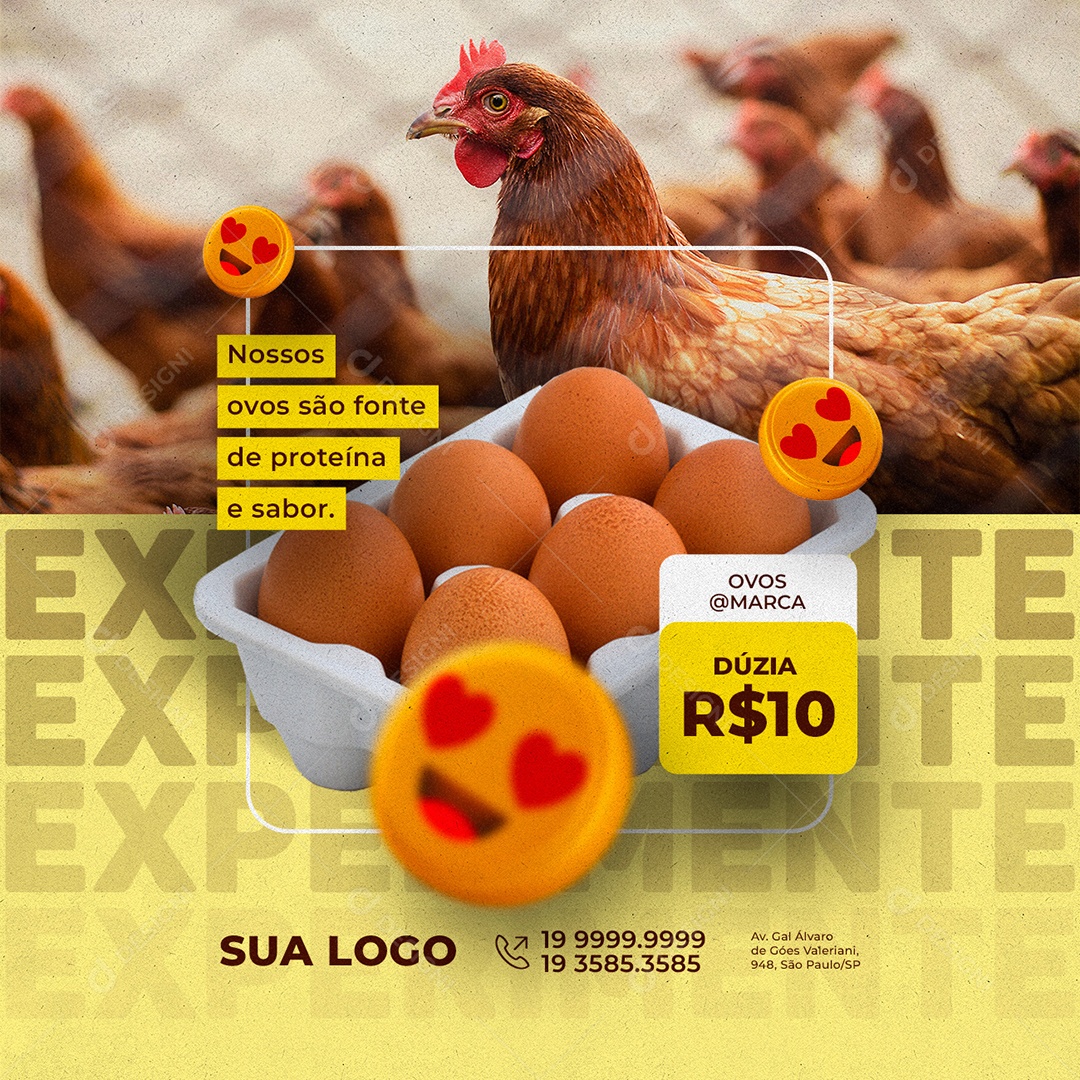 Nossos Ovos São Fonte De Proteína e Sabor Dúzia 10,00 Social Media PSD Editável