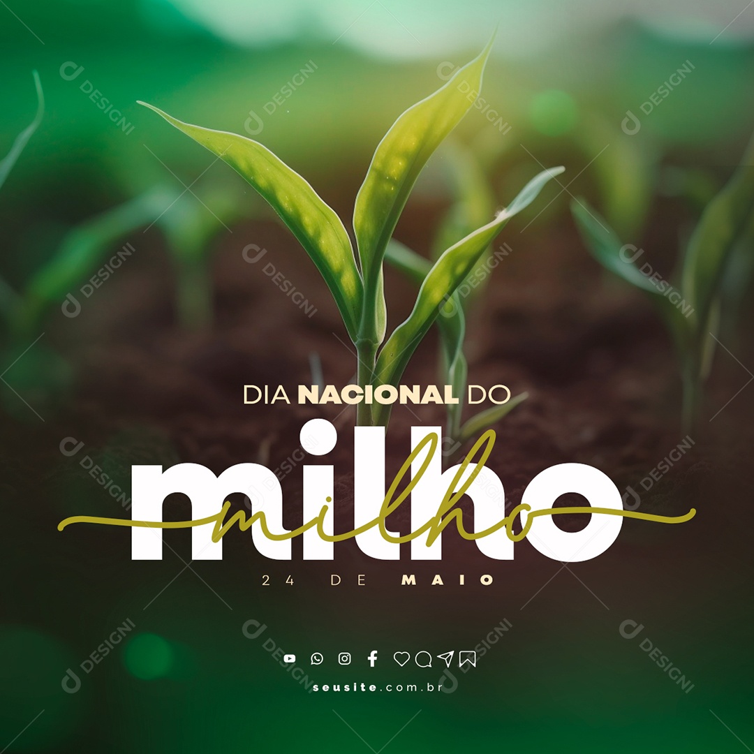 Dia Nacional Do Milho 24 De Maio Social Media PSD Editável