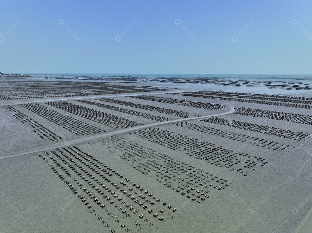 Vista aérea da fazenda de ostras agricultura sustentável