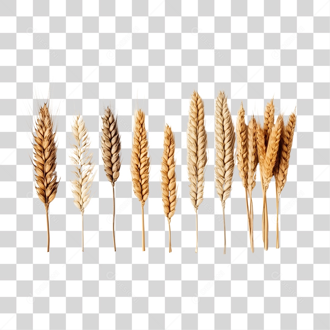 Baga de trigo PNG Transparente