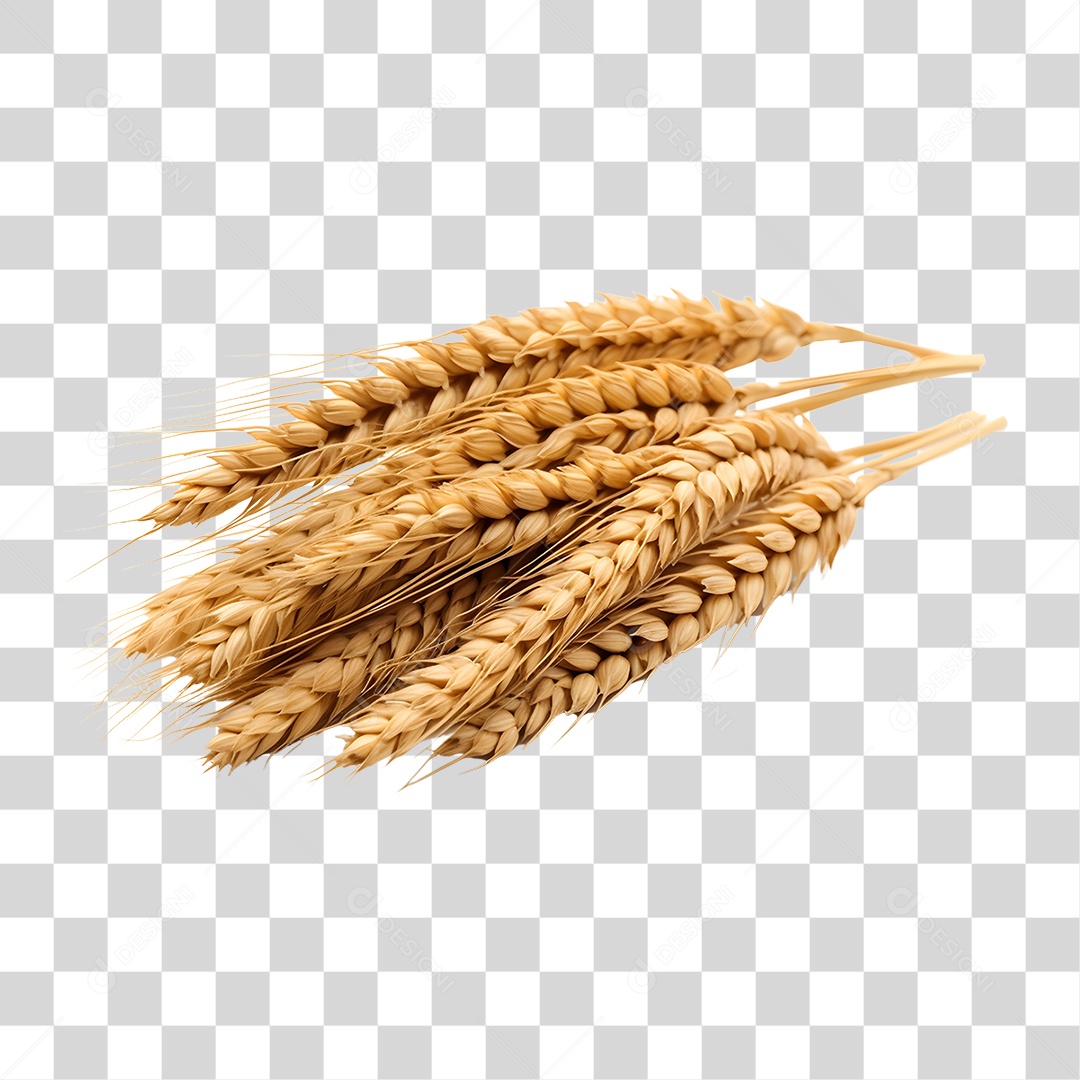 Baga de trigo PNG Transparente