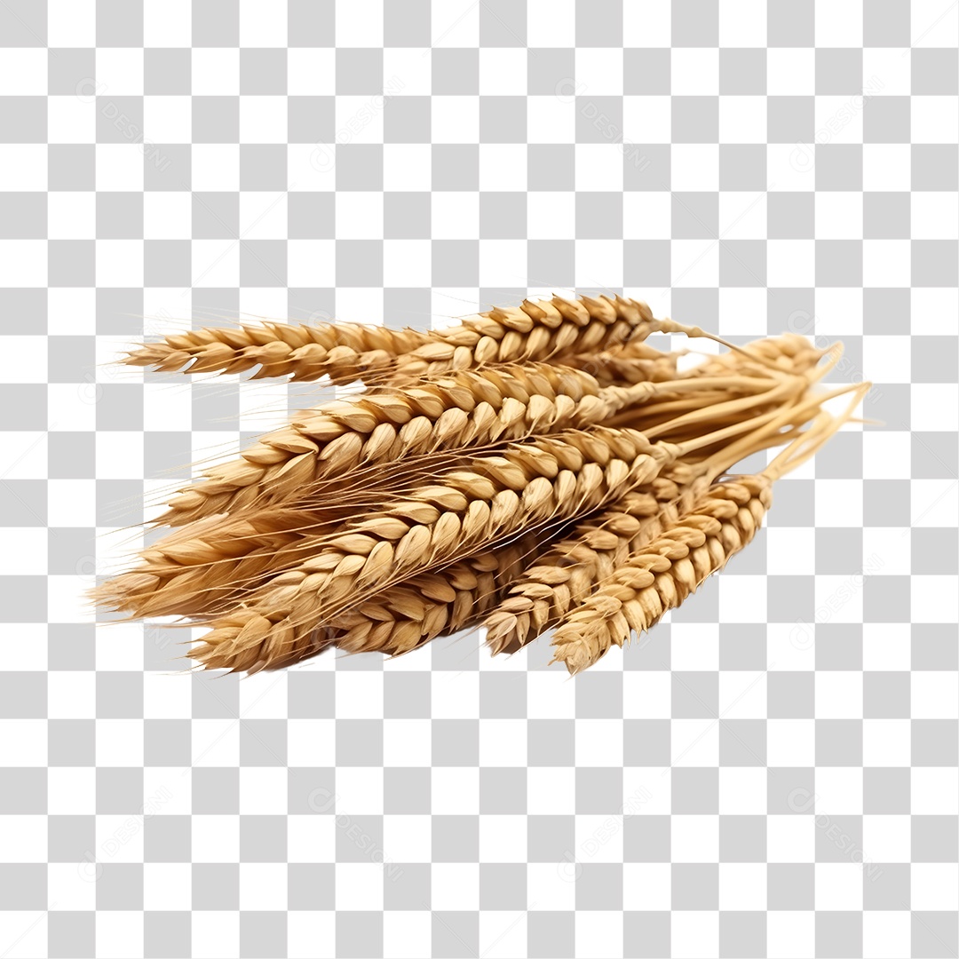 Baga de trigo PNG Transparente