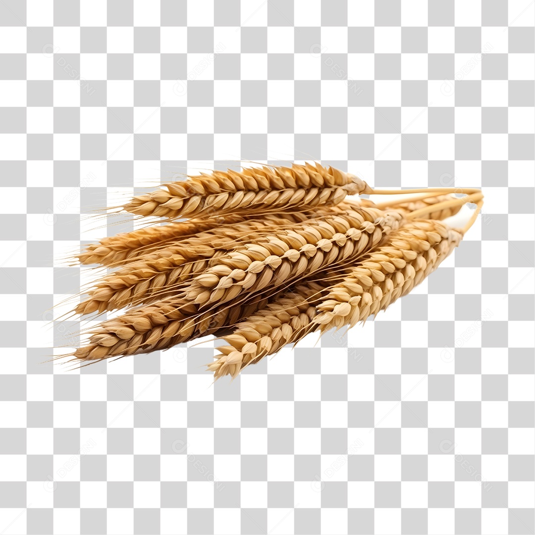Baga de trigo PNG Transparente