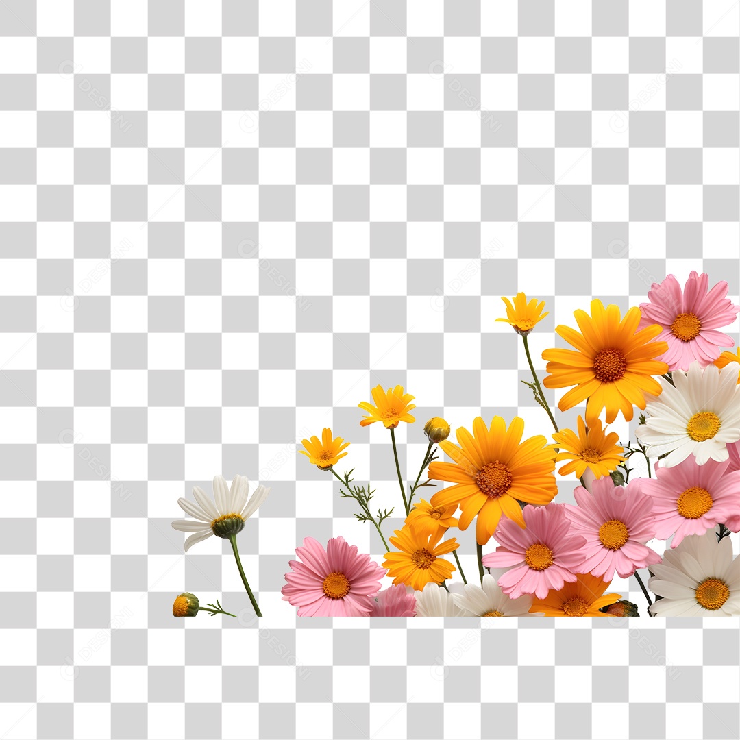 Lindas flores PNG Transparente