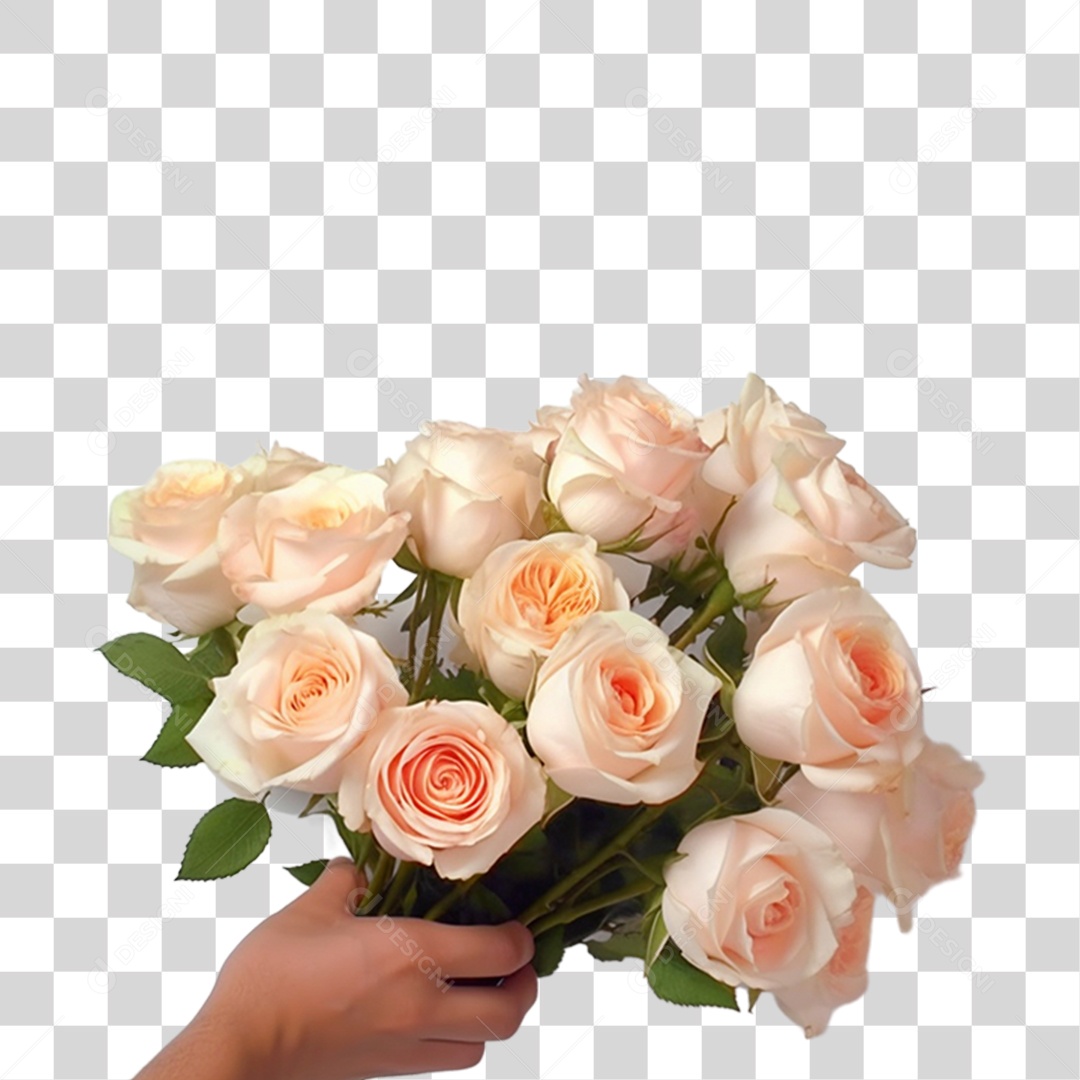 Mãos de pessoas Lindas flores rosas PNG Transparente
