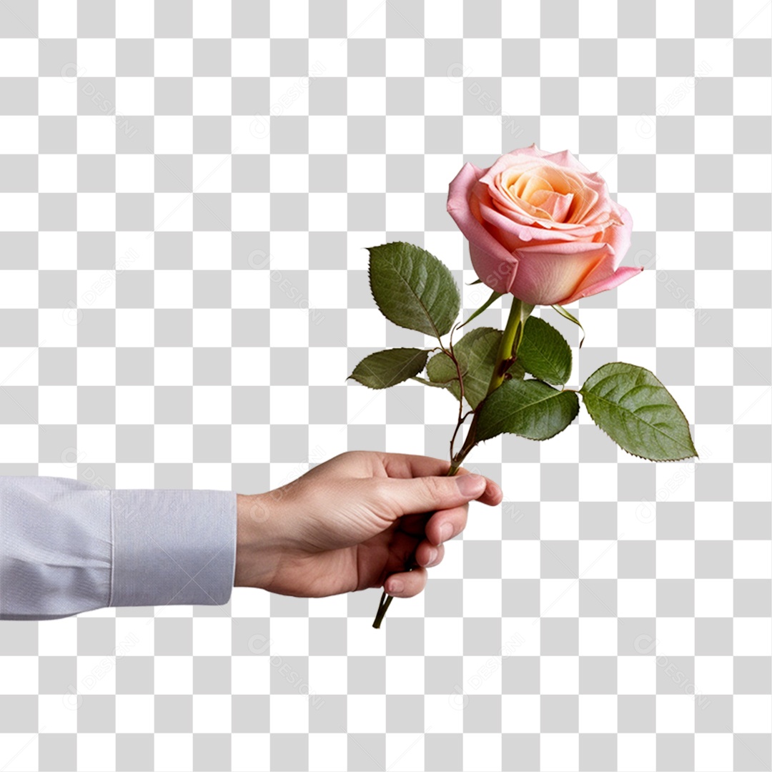 Mãos de pessoa segurando flores PNG Transparente