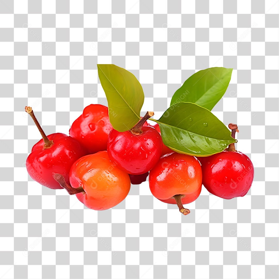 Cerejas maduras e frescas PNG Transparente